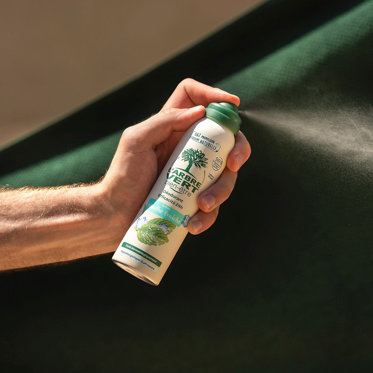 arbre-vert-hygi-ne-d-odorant-spray-menthe-fra-che-125-ml-24h image 2
