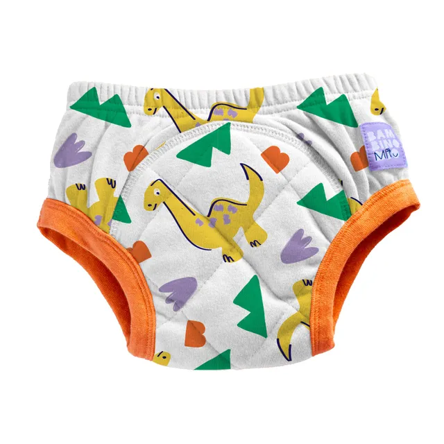 bambino-mio-bang-culotte-apprentissage-lavable-2-3-ans-absorbante image 1