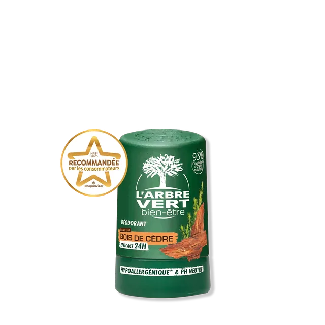 arbre-vert-d-odorant-bille-homme-bois-de-c-dre-50-ml-24h image 1