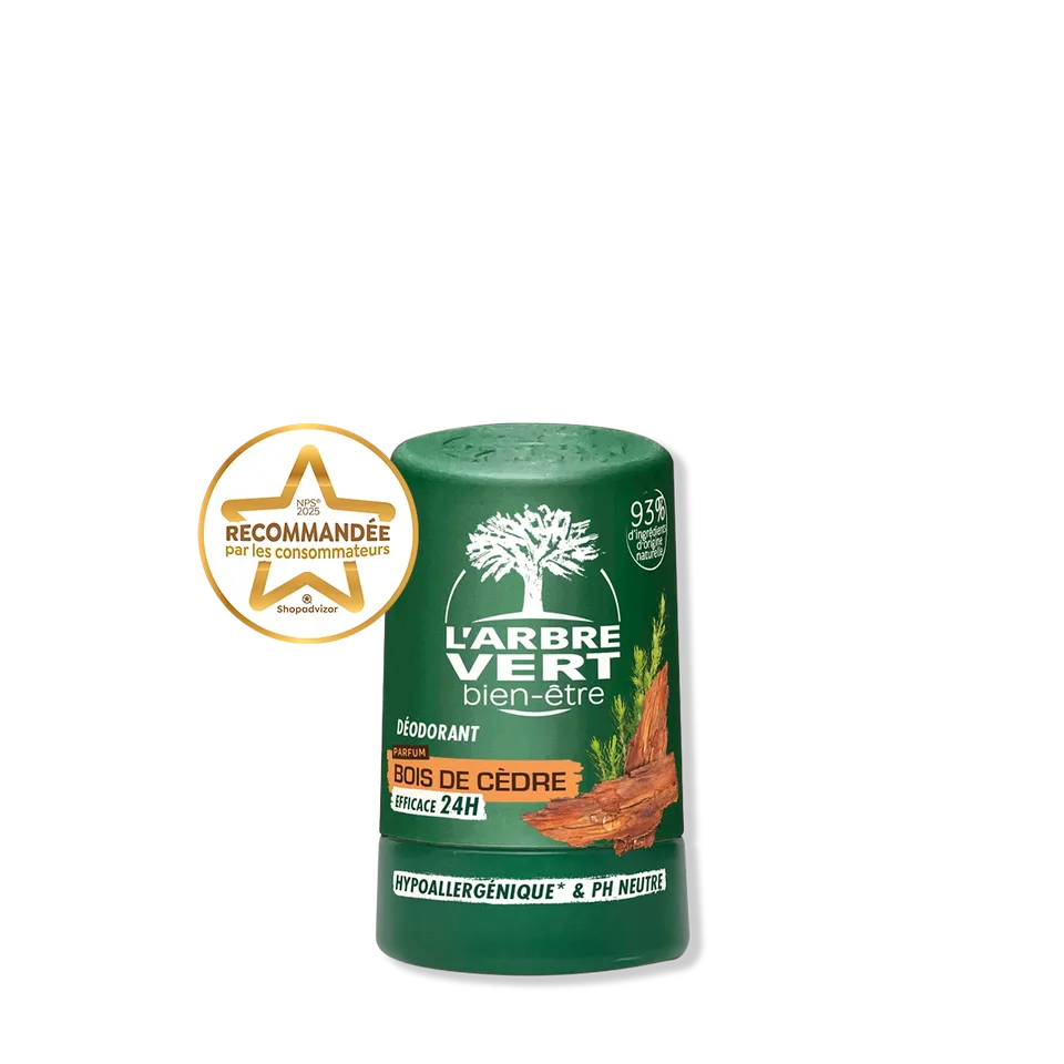 arbre-vert-d-odorant-bille-homme-bois-de-c-dre-50-ml-24h image 1