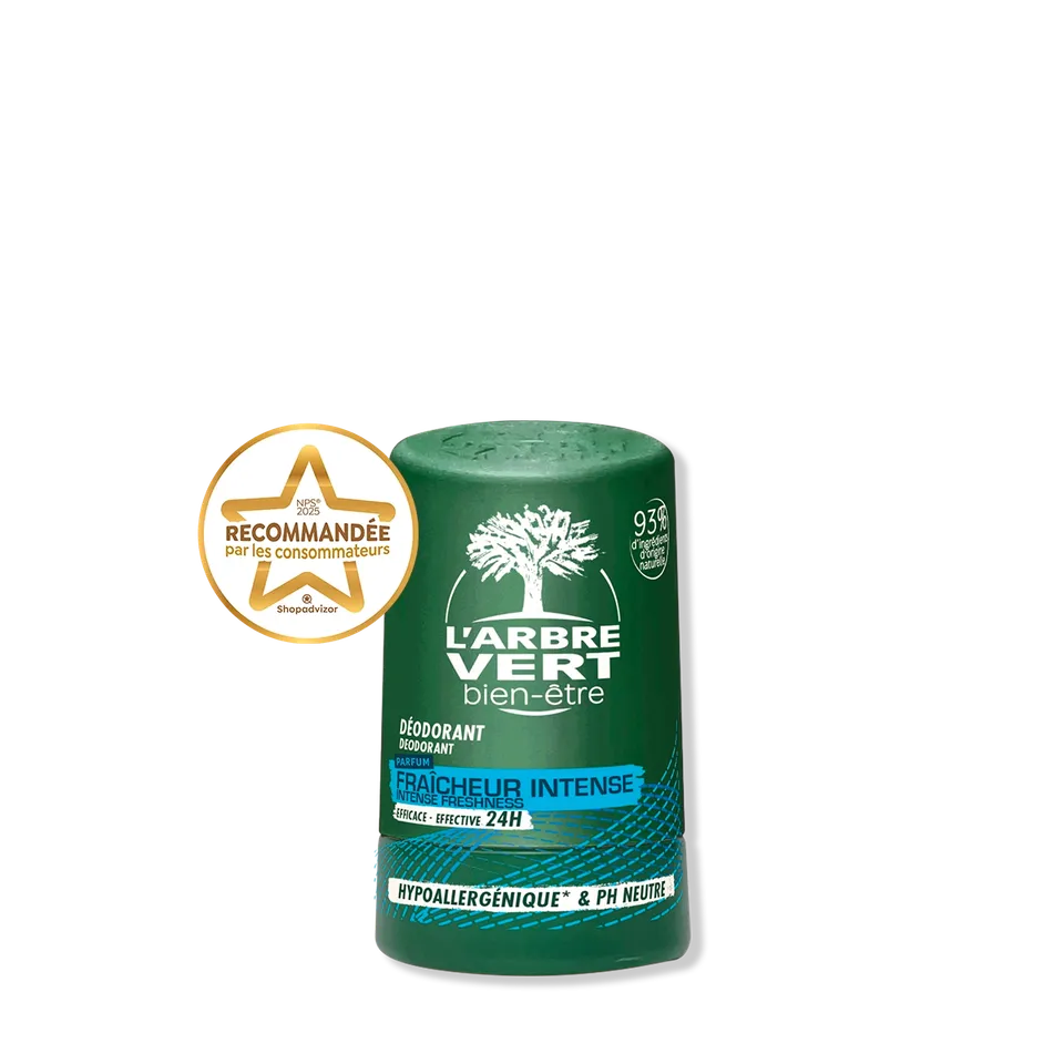 arbre-vert-d-odorant-bille-24h-homme-fra-cheur-50ml image 1