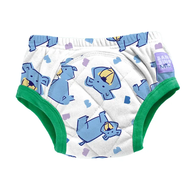 bambino-mio-miam-culotte-apprentissage-lavable-2-3-ans-absorbante image 1